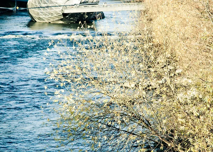 Grand Wiesler - Centre Of 4* 格拉茨